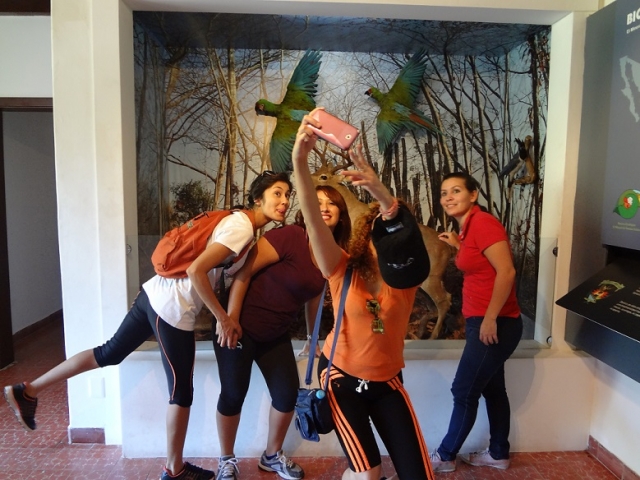  Visita ai musei 